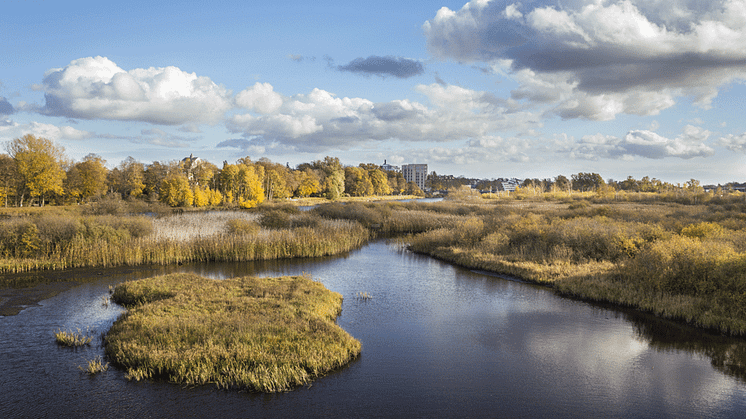 Våtmarkskonferens i Eskilstuna