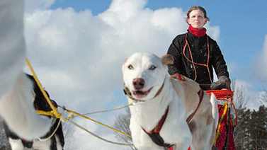 Årets Turismpris Jönköpingsgalan 2015