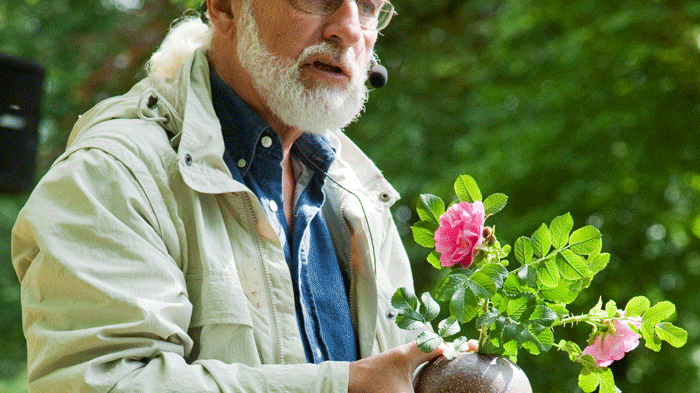 (fotograf Lars Bygdemark)