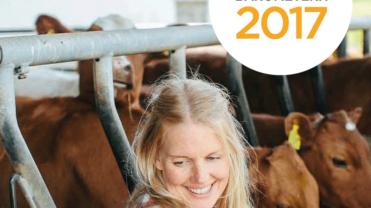 ​​Bättre lönsamhet och positiv framtidstro
