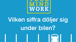 Är du också en problemlösare?