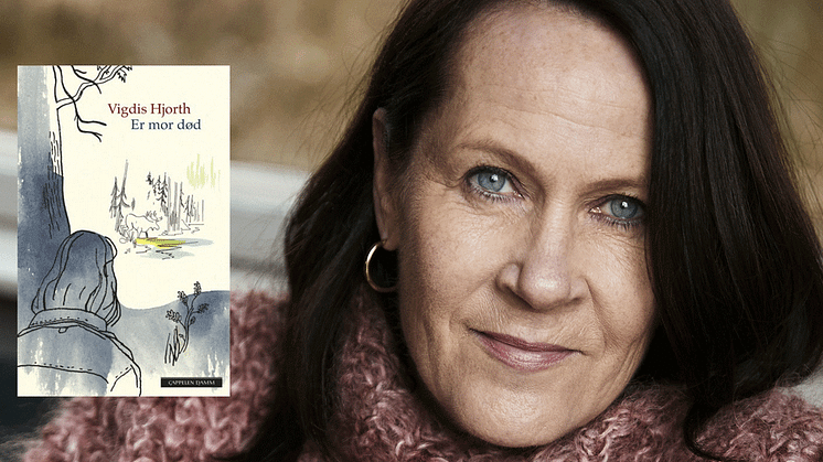 Vigdis Hjorth er nominert til Bookerprisen. Kun to andre norsk forfattere har tidligere vært nominert til det mange regner som en verdens aller mest høythengende litteraturpriser.