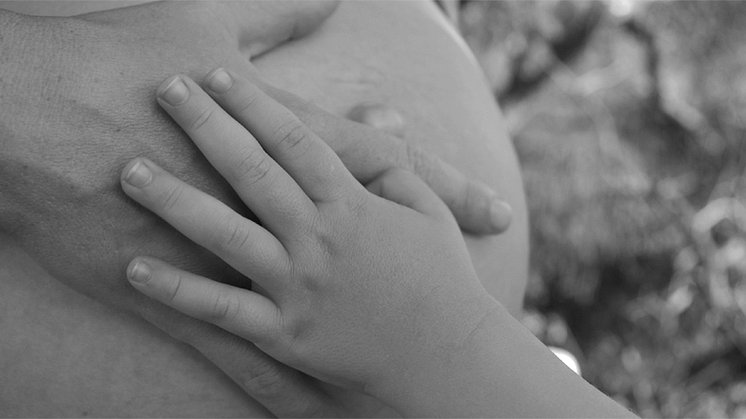 "Vinster i välfärden – sila elefanter och fånga mygg"