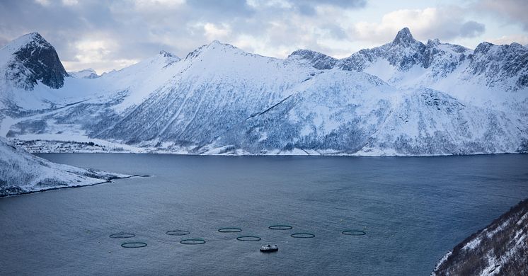 Nachhaltige Aquakultur in Norwegen
