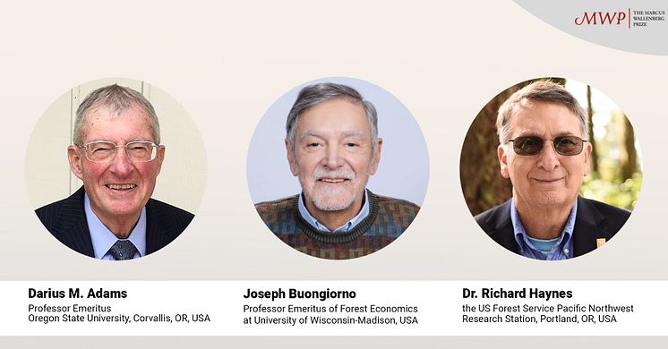 Groundbreaking economic models for integrated analysis of the forest sector