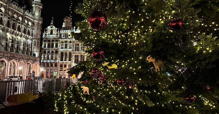 Veiling van 180 unieke Côte d’Or olifantornamenten die kerstboom op Grote Markt in Brussel versieren