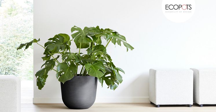 Ecopots Oslo