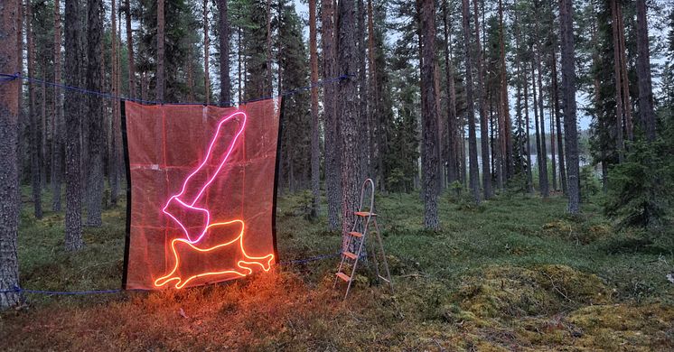 Knock on Wood, Shirly Holmberg. Visas av Jädraås Folkets Hus i utställningsprogrammet I samlad rörelse, 2025. Foto: Shirly Holmberg