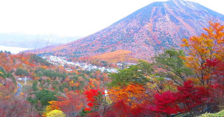 Explore Nikko’s Autumn Top Three Must-Visit Spots with TOBU Railway
