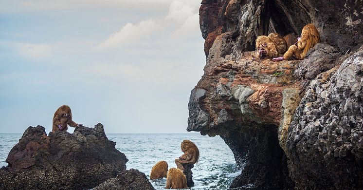 Tori Wrånes, NAAM YAI. Foto: Thailands biennales fotografer, bilden är beskuren