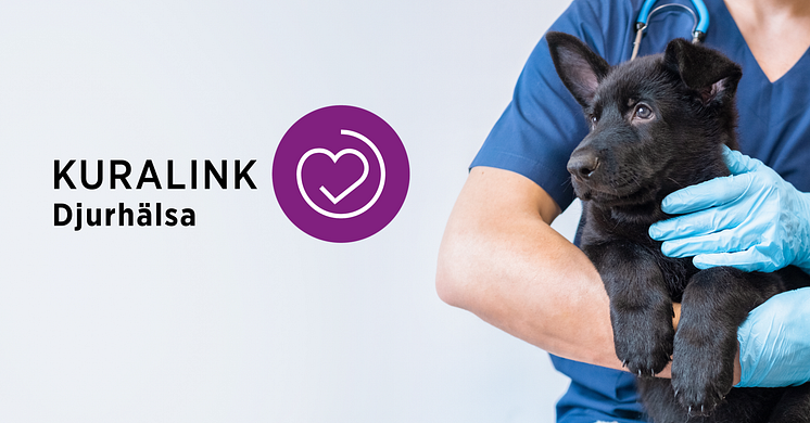 Sveland blir första djurförsäkringsbolag att hänvisa kunder till veterinärvård via CAB Groups plattform Kuralink Djurhälsa.