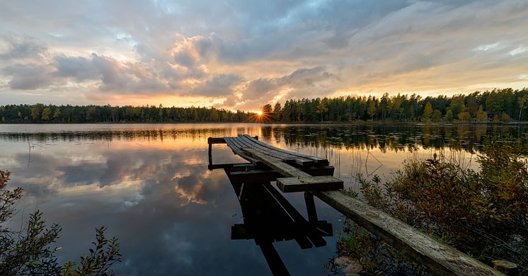 Under september genomförs en företagsvecka i Sala kommun med fokus på att blicka framåt för ett levande Sala