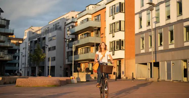 Tillstånd och trender 2025 – ny rapport om utvecklingen i regionerna