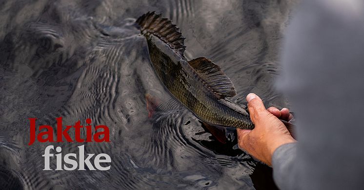 Jaktia storsatsar och startar  nya butikskedjan Jaktia Fiske