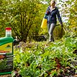 Solución rápida y efectiva contra las malas hierbas y el musgo: Finalsan® Herbicida NATURAL