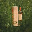 THE MACALLAN PRESENTERAR EN NY UTGÅVA AV THE HARMONY COLLECTION I SAMARBETE MED STELLA OCH MARY MCCARTNEY