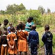 Biodynamic school garden in Mbagathi, Kenya (Photo: Lin Bautze)