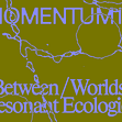 MOMENTUM 13. Design: Blank Blank. 