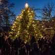 Den 30 november slår Skånes Djurpark upp portarna till årets julfirande, “Djurens Jul”, som har blivit en årlig jultradition för många. Ett stämningsfullt julfirande där familjer och vänner umgås tillsammans. 