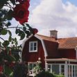 Ny statistik från Boneo visar att färre mäklare tror på sjunkande bostadspriser i sommar, medan köparnas framtidstro ökar.