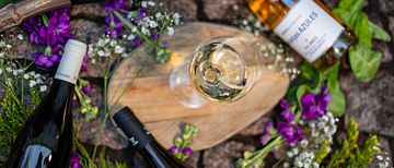 NOFO Wine Bar inviger innergården med vinfestival 
