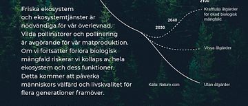 Planeten förlorar biologisk mångfald och kurvorna pekar mot en fortsatt försämring. 