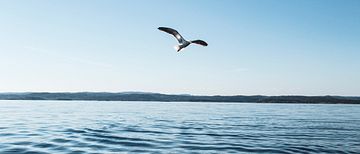 Under förra året åtgärdades totalt cirka 14 000 små avlopp i Sverige.