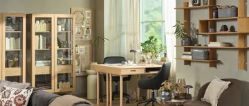Wohnzimmer mit Schreibtisch und Regalen