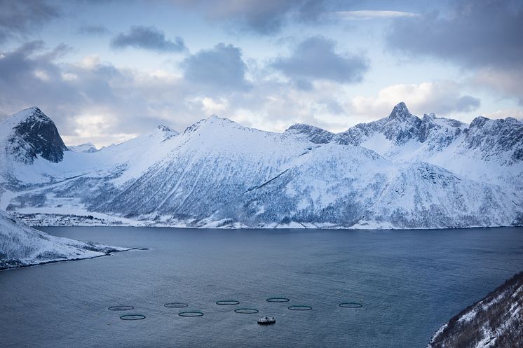 Nachhaltige Aquakultur in Norwegen
