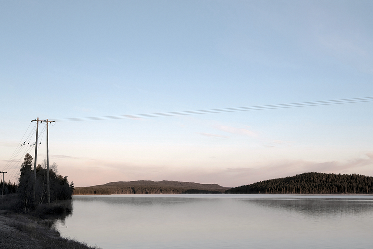 Elledningar