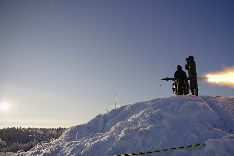 Swedish Armed Forces