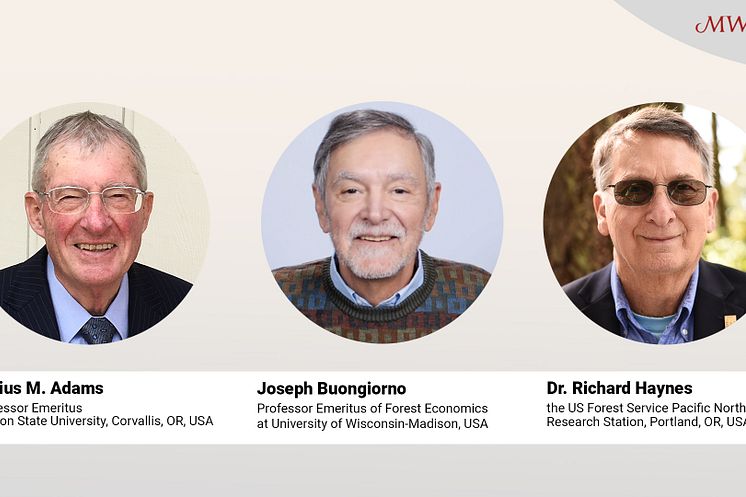 Groundbreaking economic models for integrated analysis of the forest sector