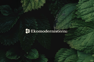 Ekomodernisterna presenterar: En eftermiddag med miljöfokus i Almedalen