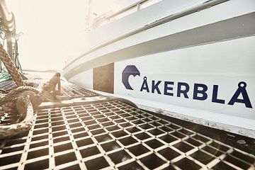 SalMar fornyer rammeavtale med Åkerblå