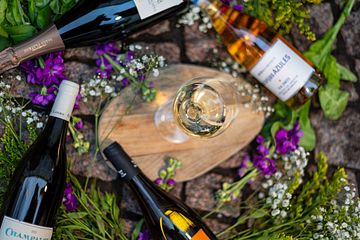 NOFO Wine Bar inviger innergården med vinfestival 