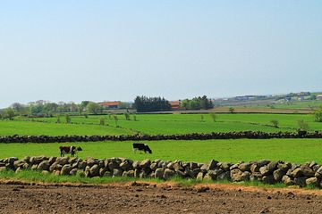 Bio Jæren AS ønsker å bygge Norges største biogass- og gjødselfabrikk på Jæren