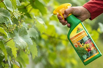 Nuevo fungicida natural para el cuidado de unas plantas hortícolas, frutales y ornamentales