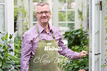 Den nya kollektionen är en inspirationskälla för färgkoordinering av blommor i kruka och rabatt.