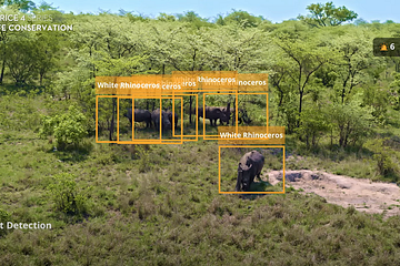 Protecting the White Rhino with DJI Matrice 4T in Sabi Sand Nature Reserve