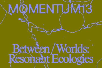 MOMENTUM 13. Design: Blank Blank. 