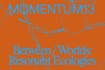 MOMENTUM 13. Design: Blank Blank. 