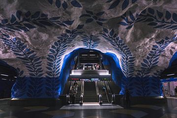 Foto: Bastien Hervé