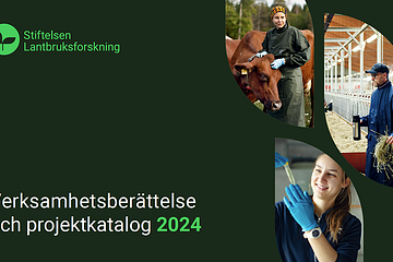 Summering av året från vd och forskningschef, nyckeltal, presentation av styrelse, beredningsgrupper, utlysningar, beviljade projekt och mycket mer.