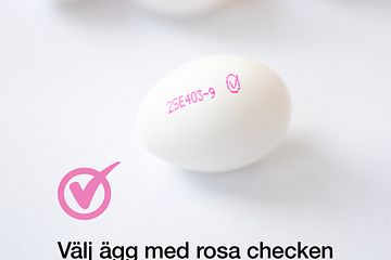 Visionen är att alla som bor i Sverige ska äta minst ett ägg om dagen och att svenska ägg är det självklara valet.