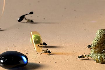 Det animerade verket Rehousing Technosphere av Wang & Söderström från 2022 kommer att visas i utställningen.