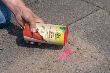 ¡Disfrutar de tu terraza sin las molestas hormigas!