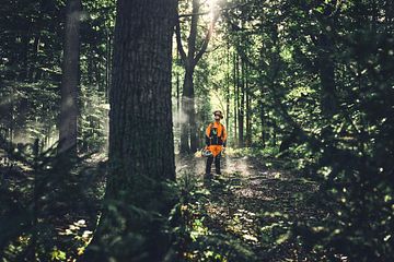 Den nordiske skogs- og grøntområdebransjen foretrekker en blanding av bensin- og batteridrevne maskiner.