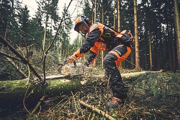 STIHL presenterar ny kollektion av skyddskläder och motorsågskängor.