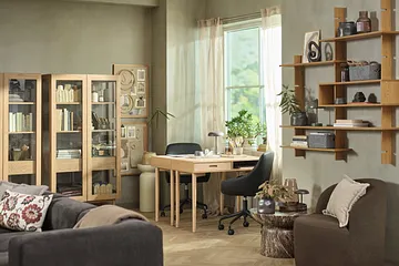 Wohnzimmer mit Schreibtisch und Regalen