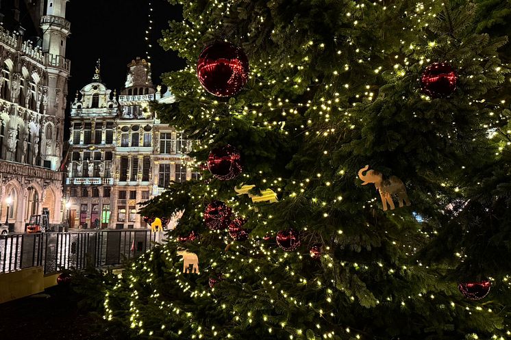 Veiling van 180 unieke Côte d’Or olifantornamenten die kerstboom op Grote Markt in Brussel versieren